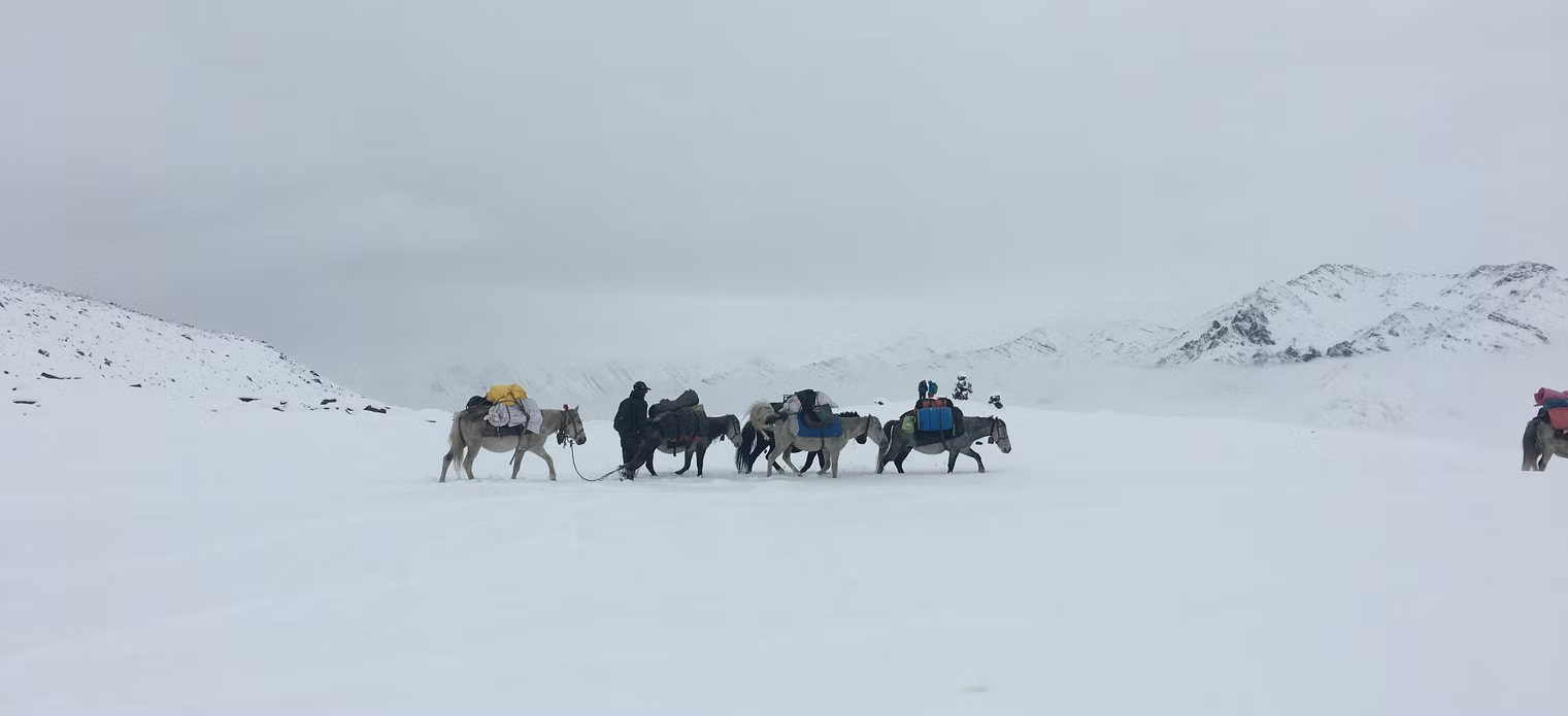 Best Leh Ladakh Tour Packages 2026