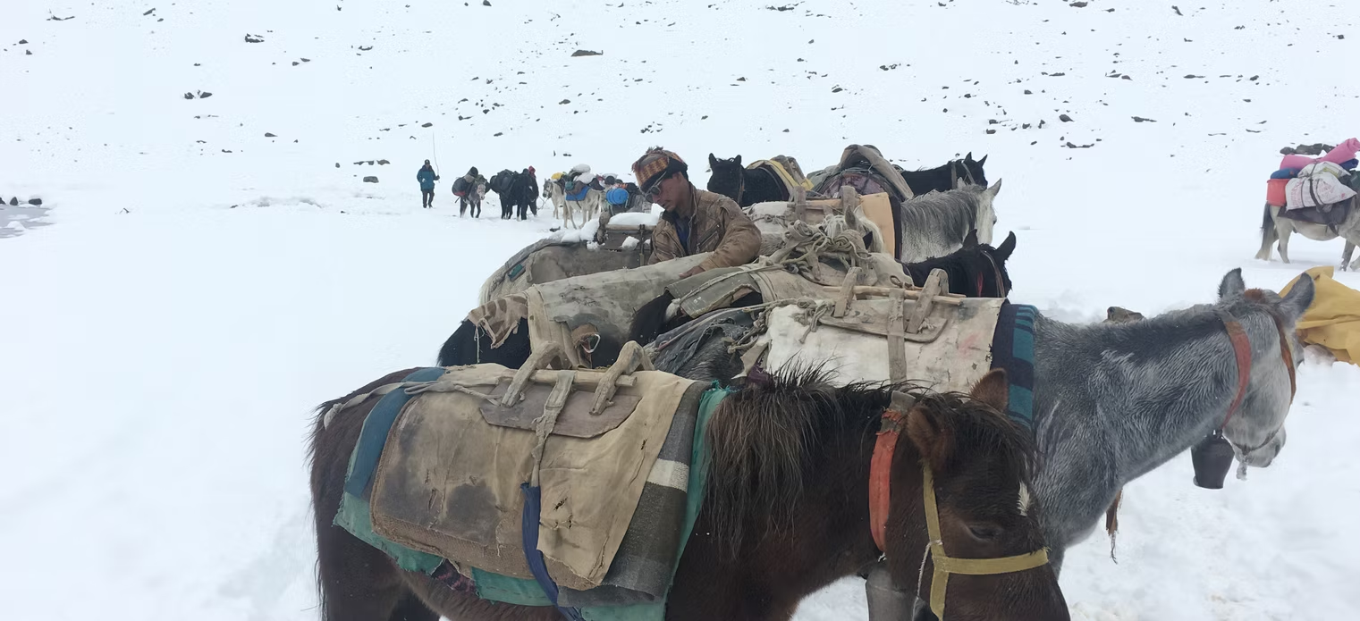 Best Leh Ladakh Tour Packages 2026