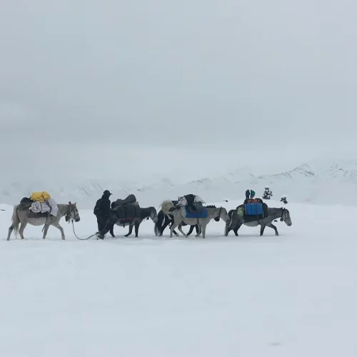 Best Leh Ladakh Tour Packages 2026