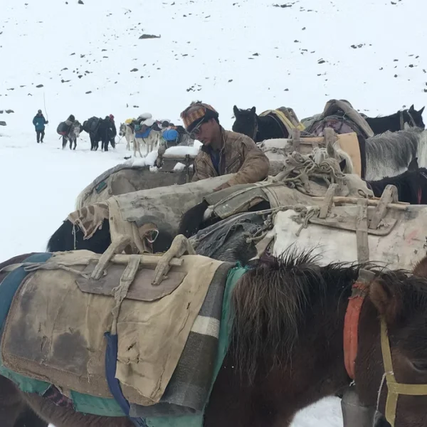 ladakh tour packages